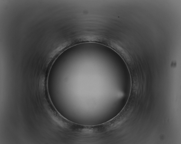 X0000096650394200802121137