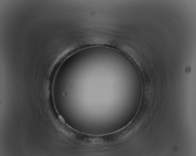 X0000096650395200802121137