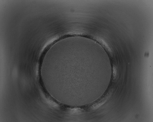 X0000096650396200802121137