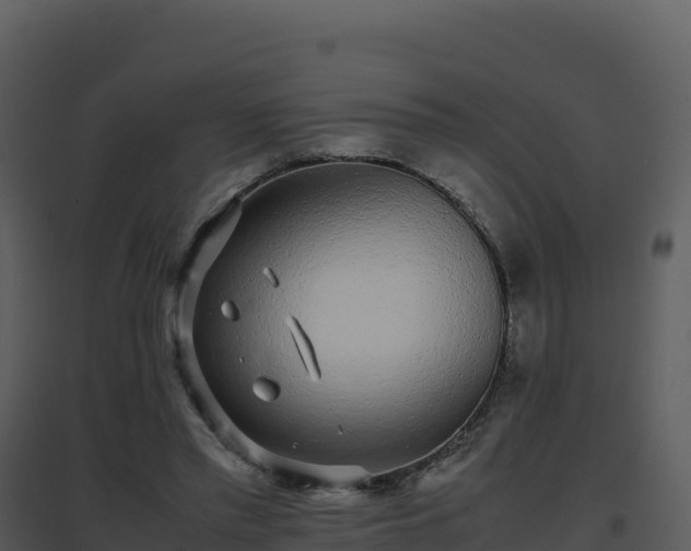 X0000096650397200802121137