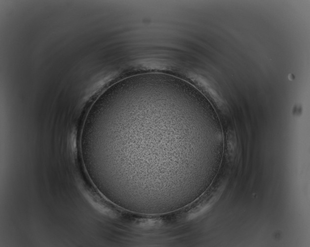 X0000096650398200802121137