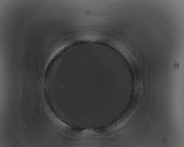 X0000096650399200802121137