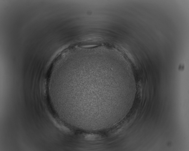 X0000096650400200802121137