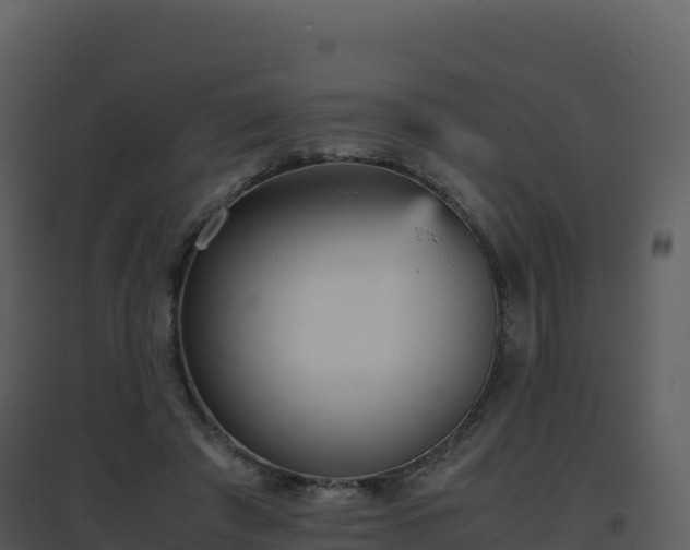 X0000096650401200802121137