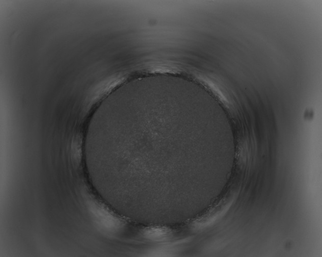X0000096650402200802121137