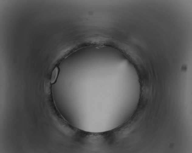 X0000096650403200802121137