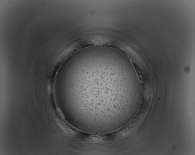 X0000096650405200802121137