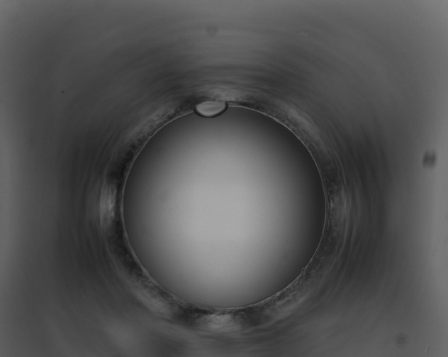 X0000096650406200802121137