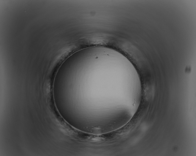 X0000096650407200802121137