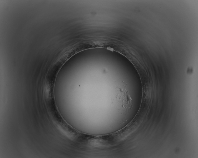 X0000096650408200802121137