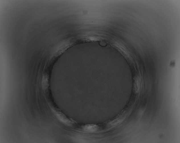 X0000096650410200802121137