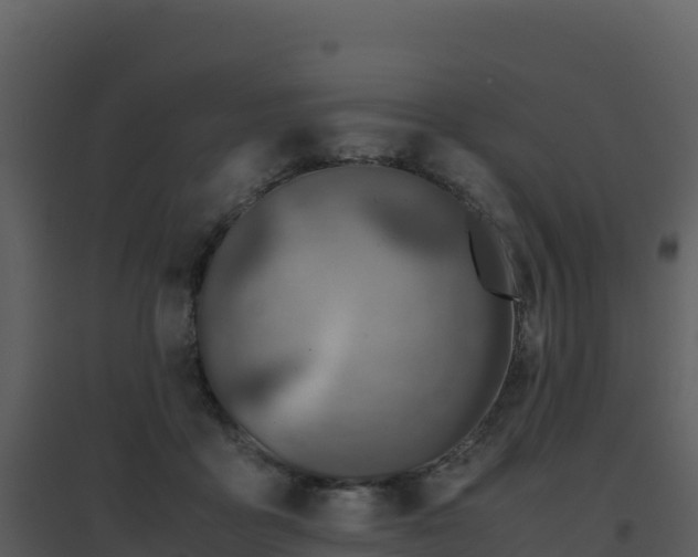 X0000096650411200802121137