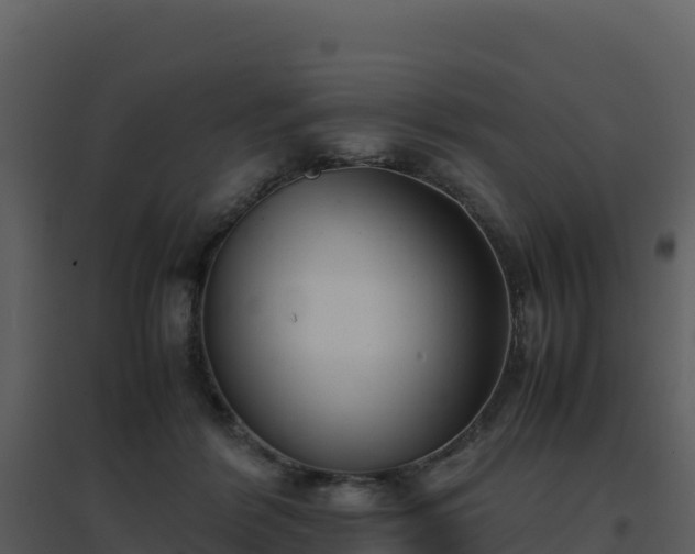 X0000096650412200802121137