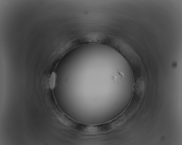 X0000096650413200802121137