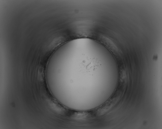 X0000096650414200802121137
