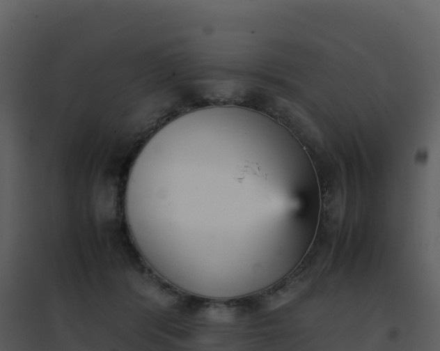 X0000096650416200802121137
