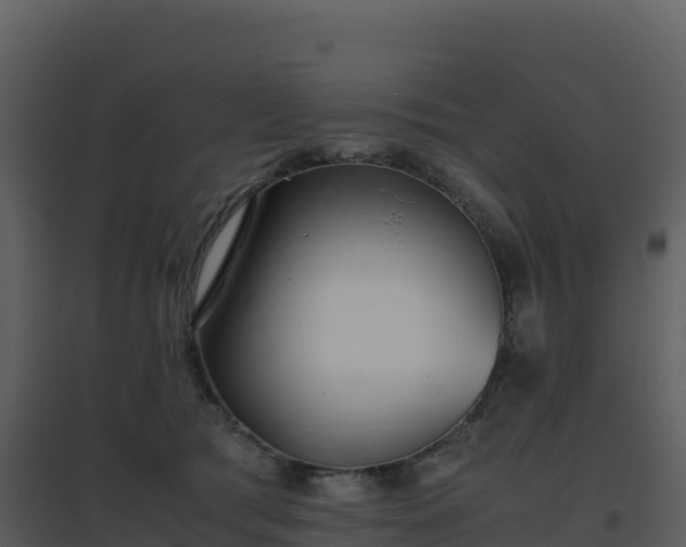 X0000096650417200802121137
