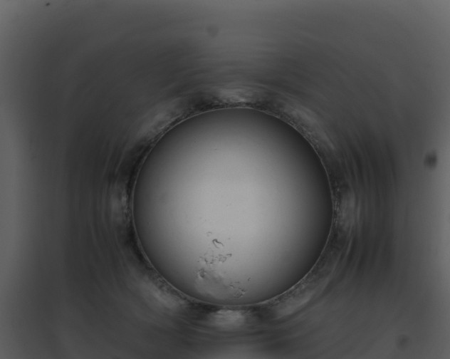 X0000096650418200802121137