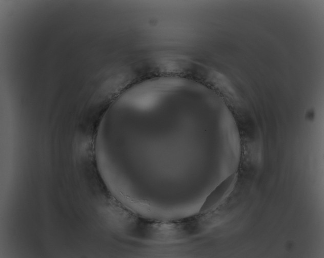 X0000096650419200802121137