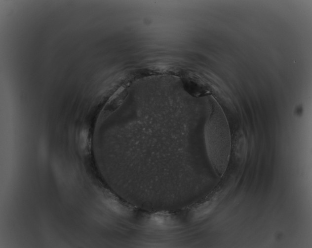 X0000096650420200802121137