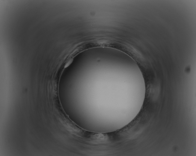 X0000096650421200802121136