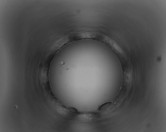 X0000096650422200802121136