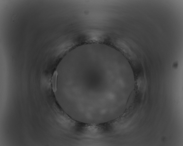 X0000096650423200802121136
