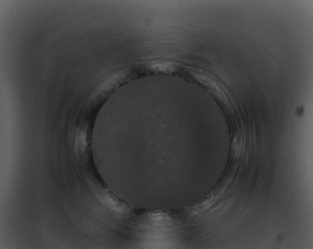 X0000096650424200802121136