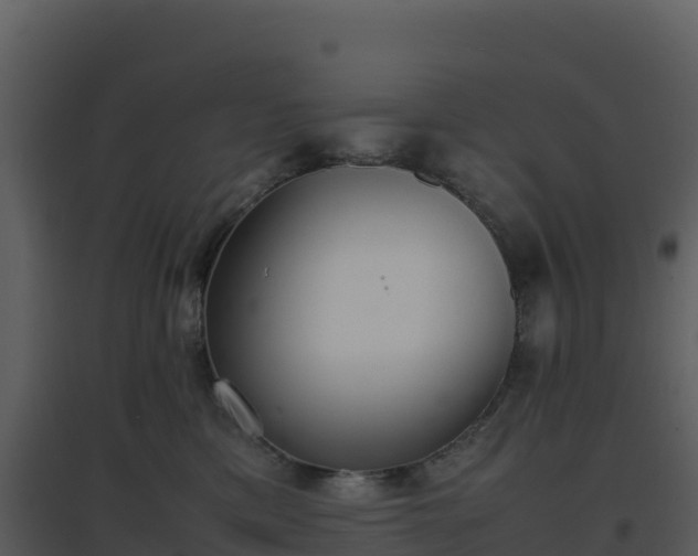 X0000096650425200802121136