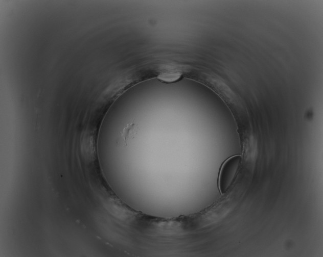 X0000096650426200802121136