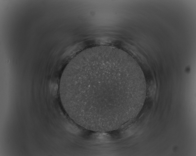 X0000096650427200802121136