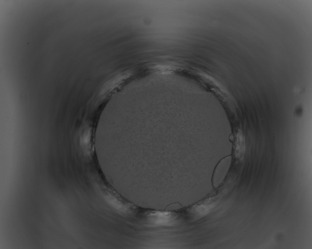 X0000096650428200802121136