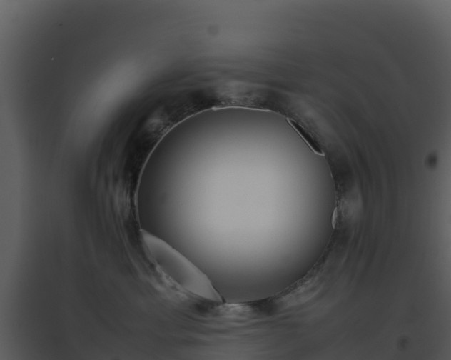 X0000096650429200802121136