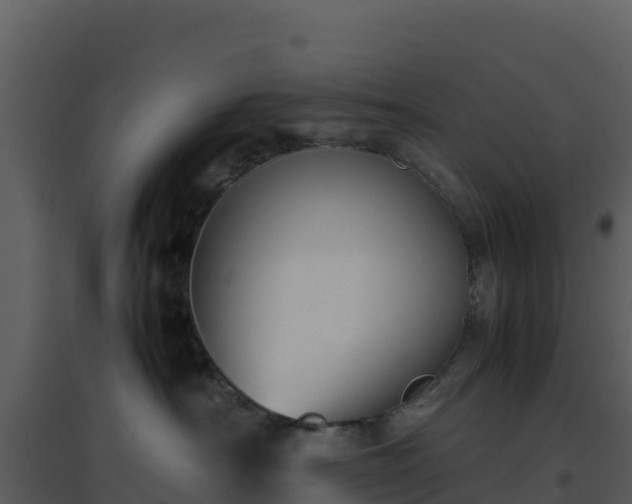 X0000096650430200802121136