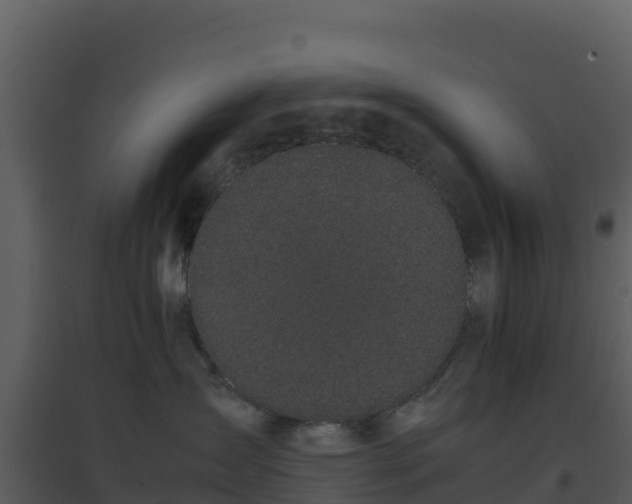 X0000096650431200802121136