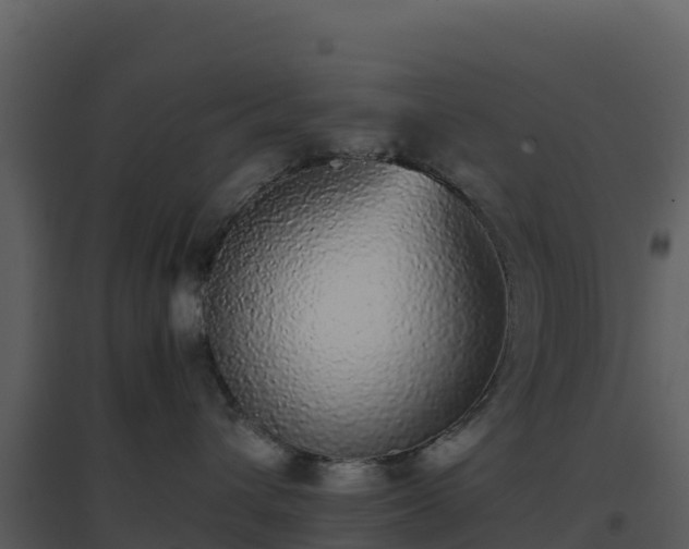 X0000096650432200802121136