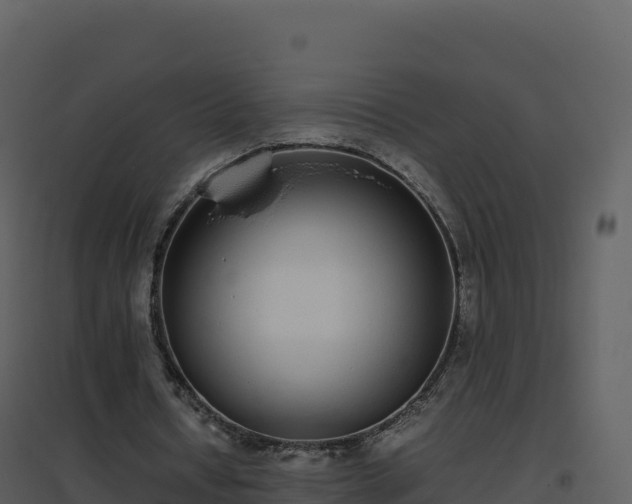 X0000096650434200802121136