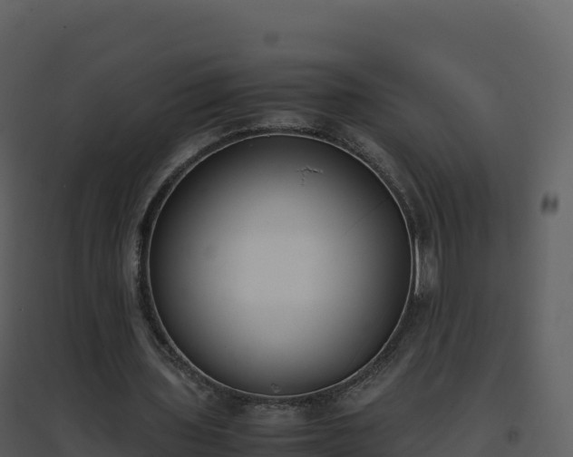 X0000096650435200802121136