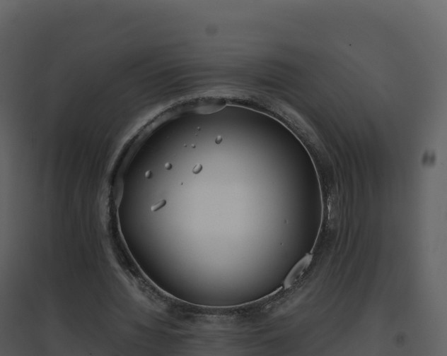 X0000096650436200802121136