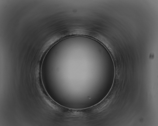 X0000096650437200802121136