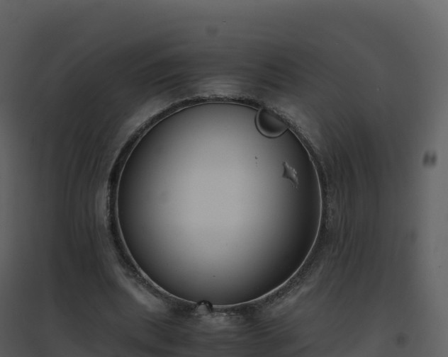 X0000096650439200802121136