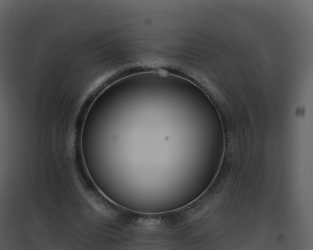 X0000096650440200802121136
