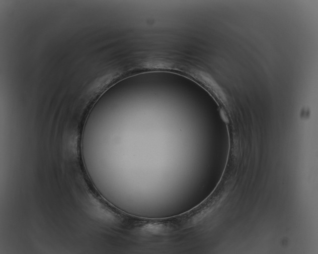 X0000096650441200802121136