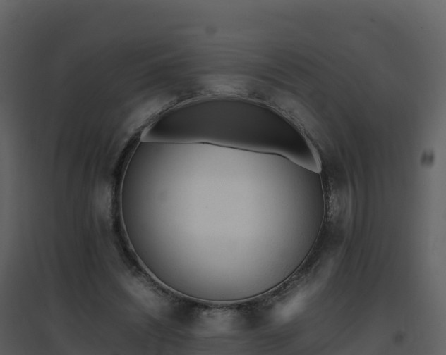 X0000096650444200802121136