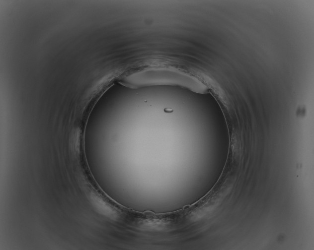 X0000096650445200802121136