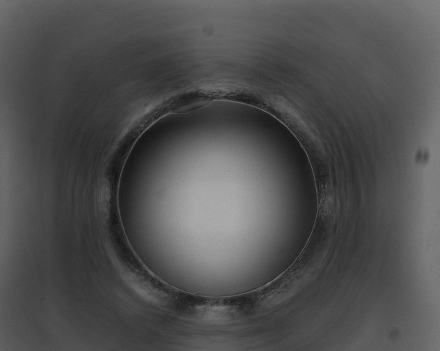 X0000096650448200802121136