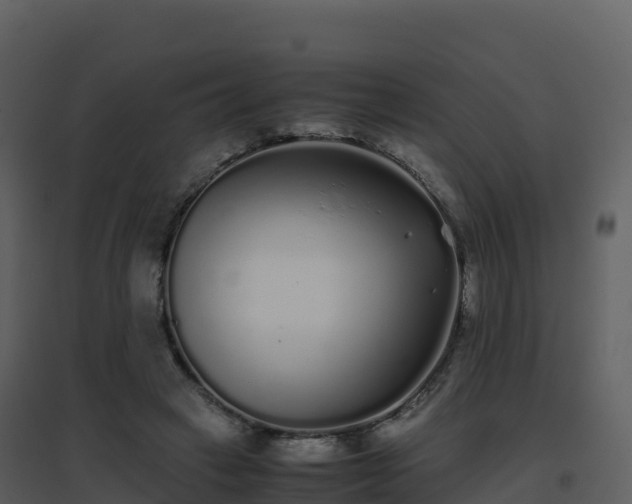 X0000096650449200802121136