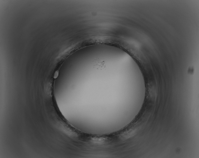 X0000096650450200802121136