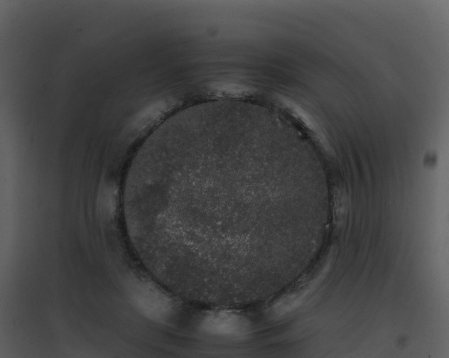 X0000096650451200802121136