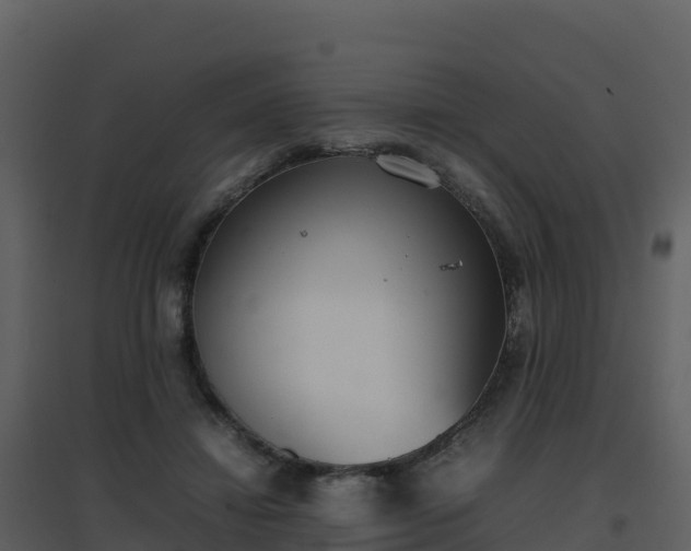 X0000096650452200802121136